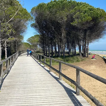 With Garden 250 Meters From The *