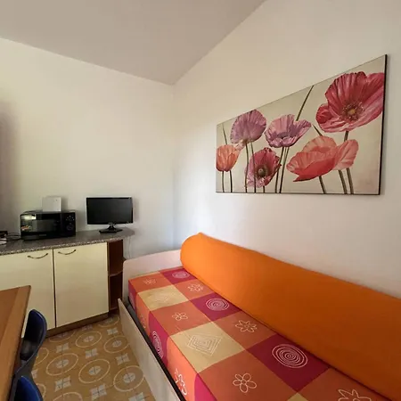 Apartment With Garden 250 Meters From The *