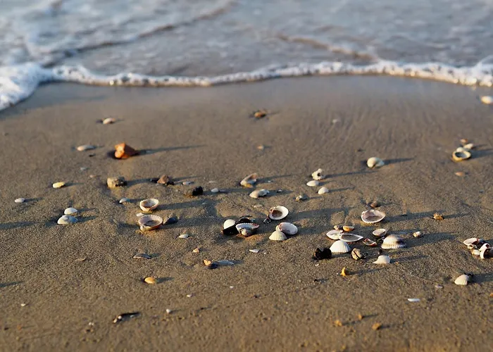 With Garden 250 Meters From The *