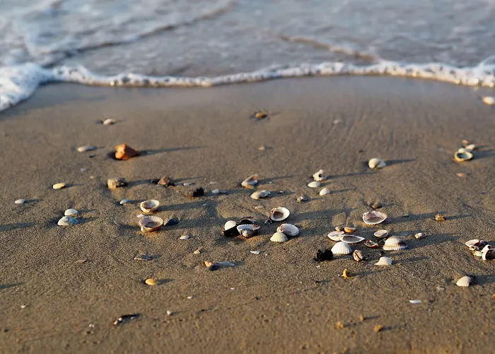 Appartement With Garden 250 Meters From The Bibione